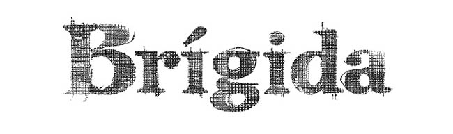 bg-4 BRÍGIDA EDITORIAL