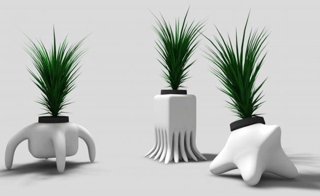 bicho3 BECAS CREATIVAS