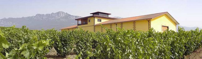 bodega pujanza BODEGAS PUJANZA