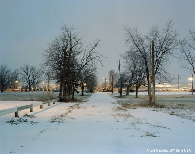 BRUGAL CON EL ARTE EMERGENTE