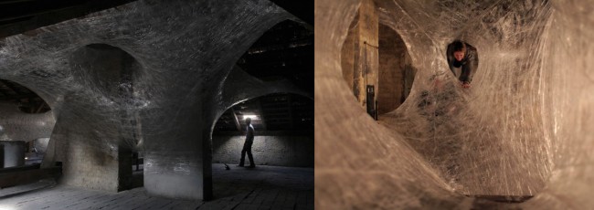 ARQUITECTURA ADHESIVA