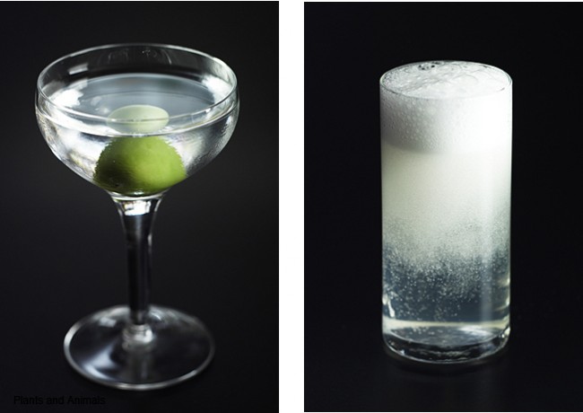 Beefeater 24, Neo2 BEEFEATER 24