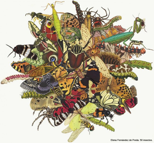 la_new_gallery_5 AN ART GALLERY IS BORN