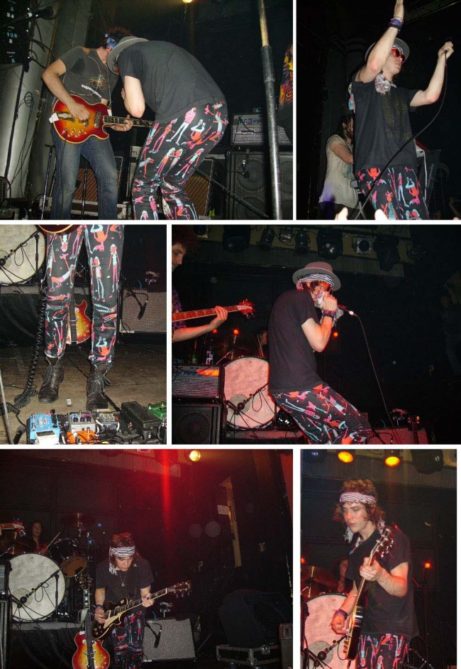 VANWYNGARDEN VA DE POTIPOTI