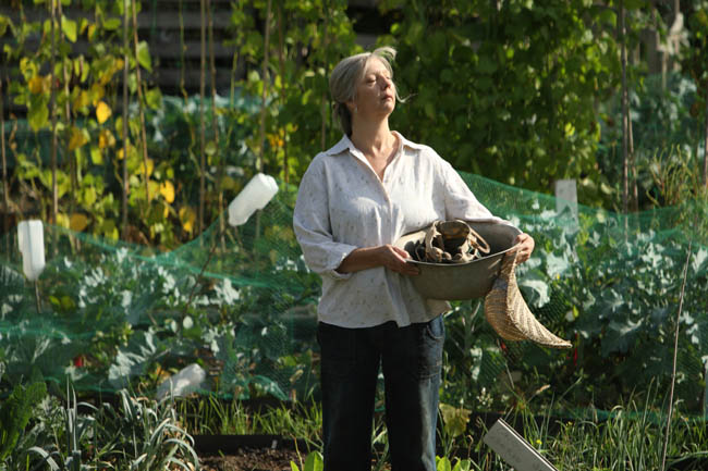 mikeleigh3 ANOTHER YEAR