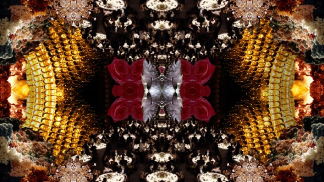 opera viva 05 BRAMBILLA & LAVAZZA