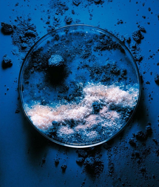 pe280a0ginas-de-artinfood5_09-02 BLOOMCOOKING (2)