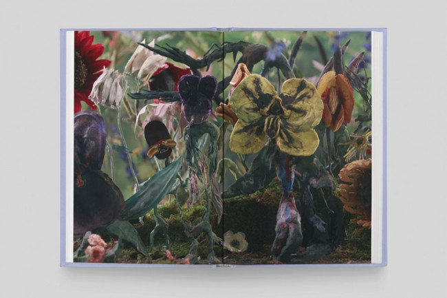 libro sobre arte y plantas