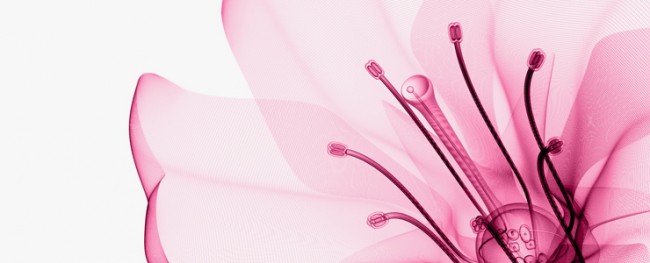 12 MEDIA ARTS FESTIVAL