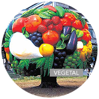 VEGETAL