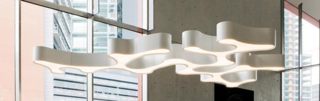 AMEBA: LA LÁMPARA INFINITA