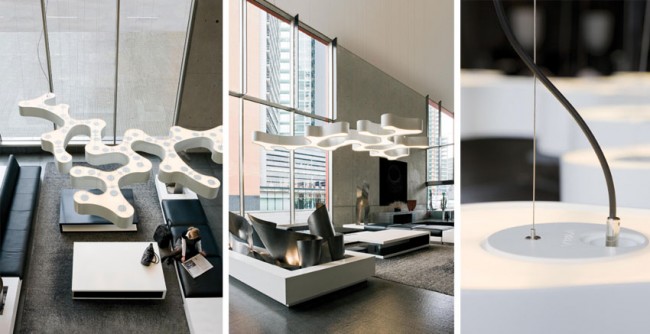 AMEBA: LA LÁMPARA INFINITA